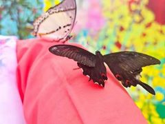 -玻璃桥景区石牛寨