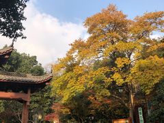 -杭州半山国家森林公园