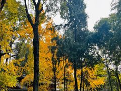 -成都武侯祠博物馆