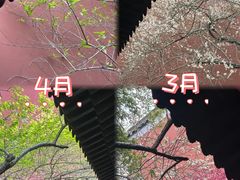 -钱王祠