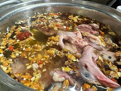 -百利鸽王(紫薇路店)