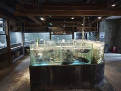 -丹江渔村(首都机场店)
