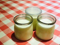 龙桥顺德双皮奶-龙桥私厨·姜花菊花过桥鱼·顺德菜(容桂店)