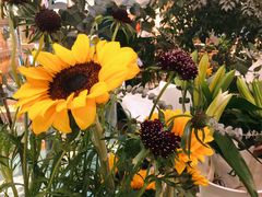 -BoBloom花店(晶耀前滩店)