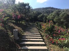 -厦门国家会计学院