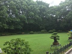 -申粤轩酒楼·三十年粤菜经典(丁香花园店)