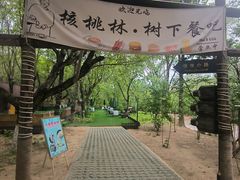 -北京张裕爱斐堡酒庄
