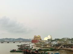 -野狸岛
