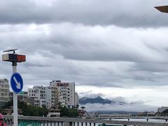 -凉凉海石花