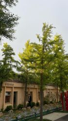 -爱儿美儿童摄影亲子馆(五路居店)