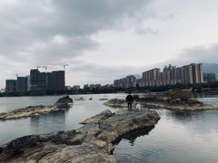 -飞来湖湿地公园