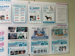 -北京观赏动物医院·24小时大型综合·猫专科·异宠专科