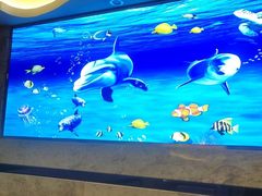 -水立方国际汤泉(六一中路店)