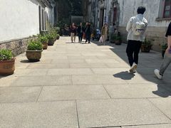 -普陀山风景区-佛顶山