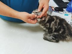 -中农国际动物医院24小时·猫科·骨科·急重症中心