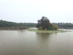 -大湾区中央湿地公园