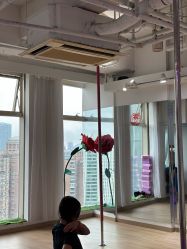 -柯宏＆雅婷塑形钢管舞蹈