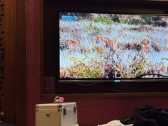 -华夏良子·足道SPA艾灸(山东大厦店)