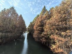 -厦门园林博览苑