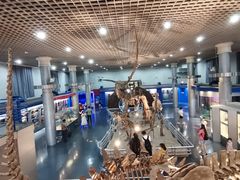 -国家自然博物馆