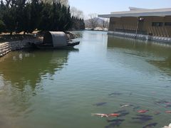 -大连铭湖国际观光牧场