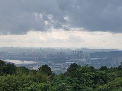 -铁山坪森林公园