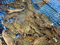 -驻海渔市(置信店)