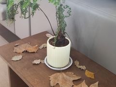 -CHILLAX轻乐时(侨建·Hi City店)