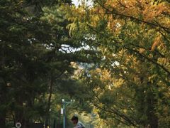 -国家植物园南园