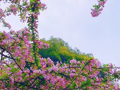 -成都南湖公园