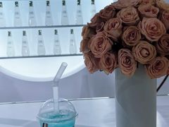 -Apollo·西班牙小酒馆(安福路店)