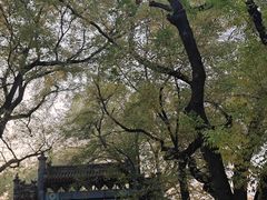 -北京国子监胡同