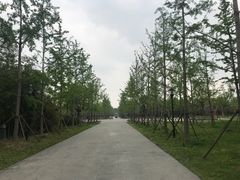 -东园小馆·早茶·淮扬小炒(宋夹城店)