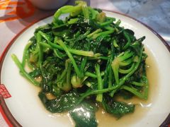清炒红薯叶-红辣椒·川菜·火锅(张杨路店)