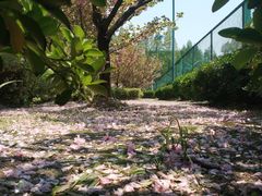 -南京航空航天大学(明故宫校区)