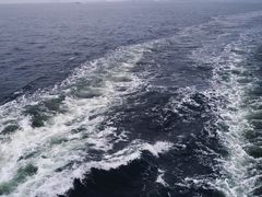 -港珠澳大桥(珠海段)