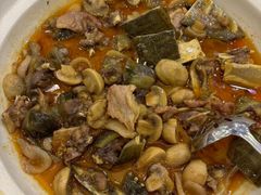 金汤甲鱼-高坎一品甲鱼庄(两河店)