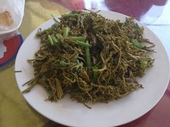 -十渡高山漂流