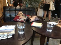 -咖法森林·咖啡  酒吧(天河店)