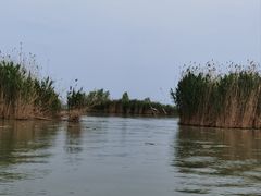 -焦岗湖旅游度假区