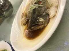 -鑫百万烤鸭店(大兴店)