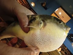 -永安鱼庄·镇江菜(丁卯店)