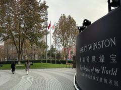-凤凰中心