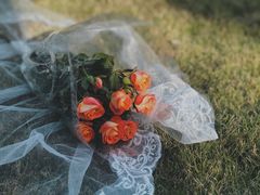 -杭州城北体育公园