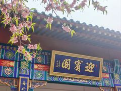 -桃花堤公园