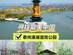 -溱湖国家湿地公园