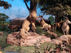 -国家自然博物馆