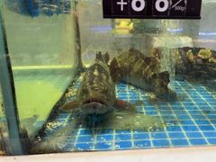 -大众海鲜(巨龙北路店)