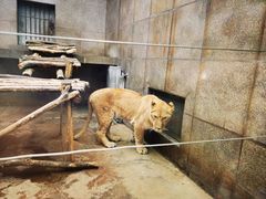 -西安秦岭野生动物园