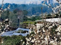 -樱桃山旅游景区